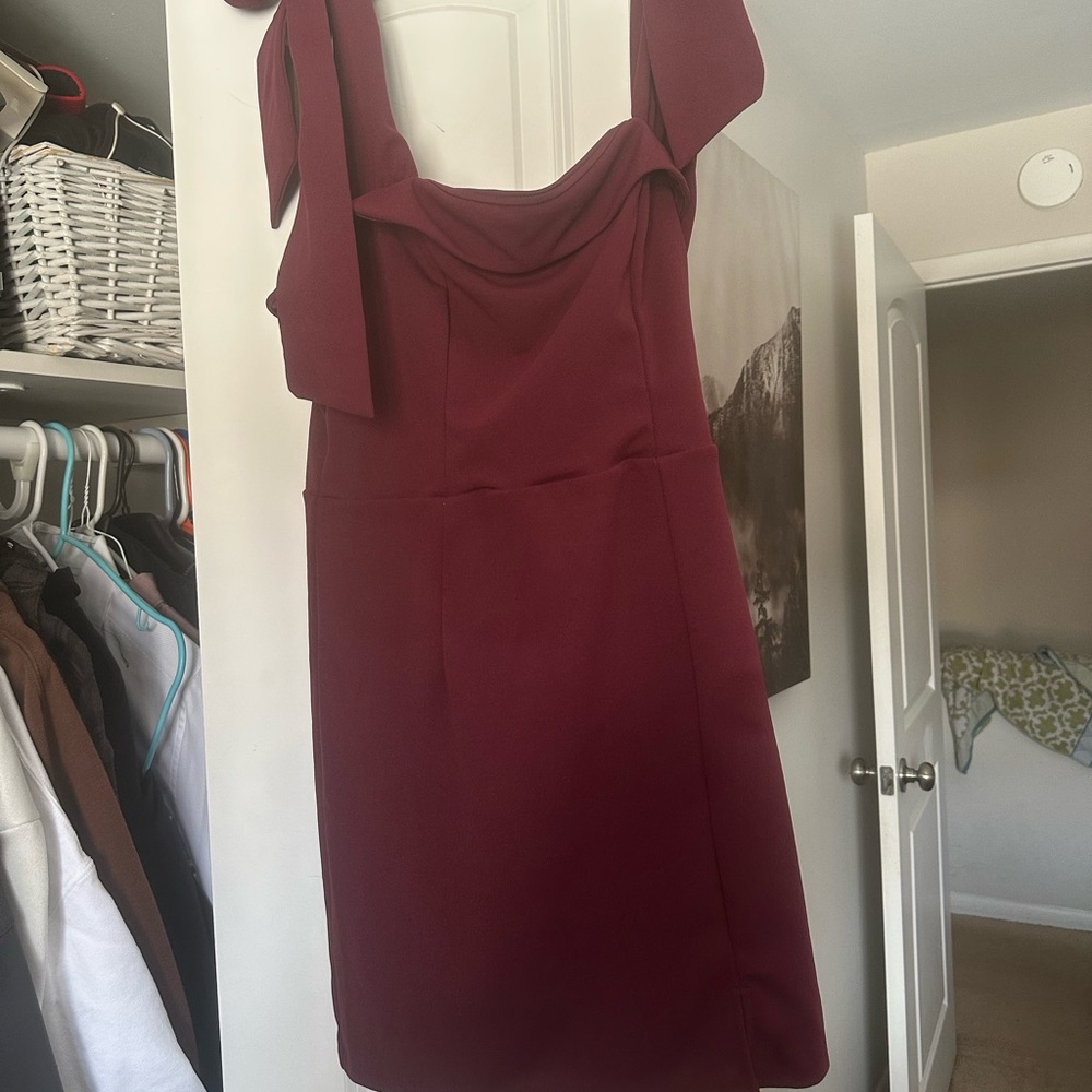 Francesca's Collections Rich Wine Mini Dress